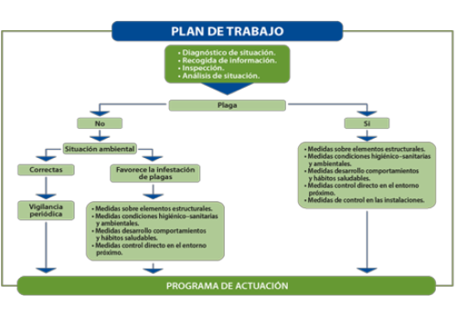 Eliminacion De Cucarachas En Madrid Biovida Control Vectorial